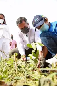 Medio Ambiente planta 155 mil árboles en “Mes de la Reforestación” 