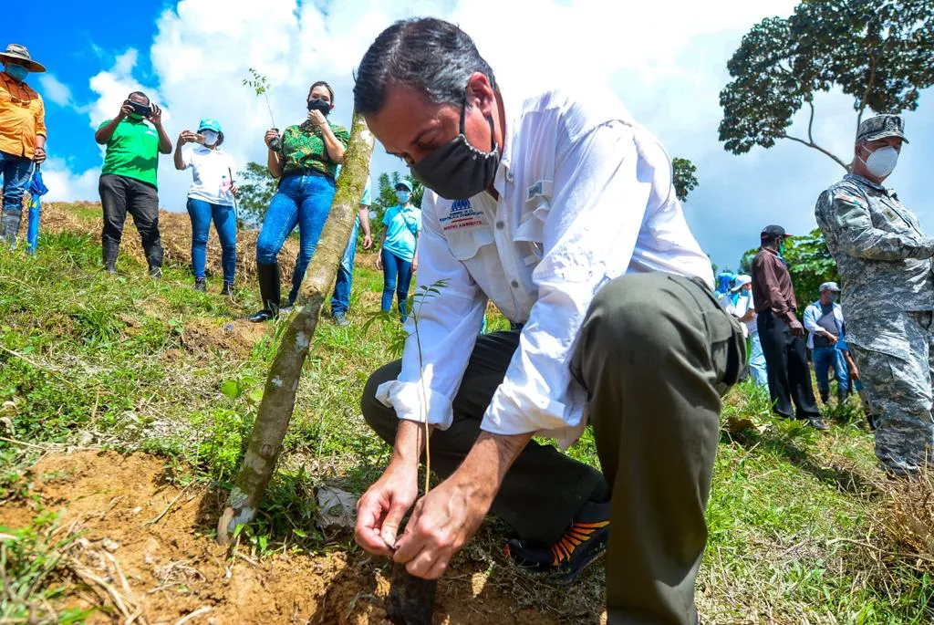 FOTO NP REFORESTACIÓN MONTE PLATA
