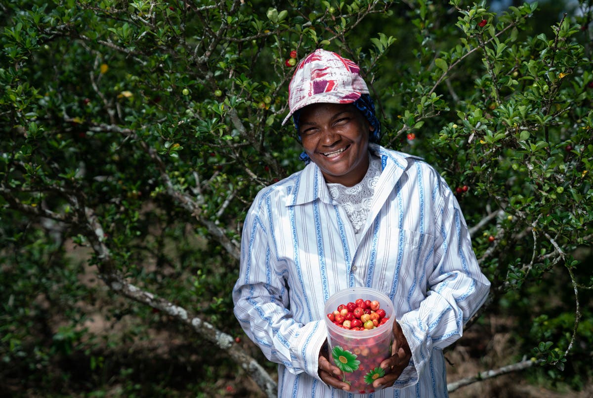 Banco Adopem garantiza inclusión financiera de la mujer rural dominicana