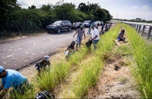 Cooperativa la Altagracia realiza Jornada de Reforestación de 1,300 plantas