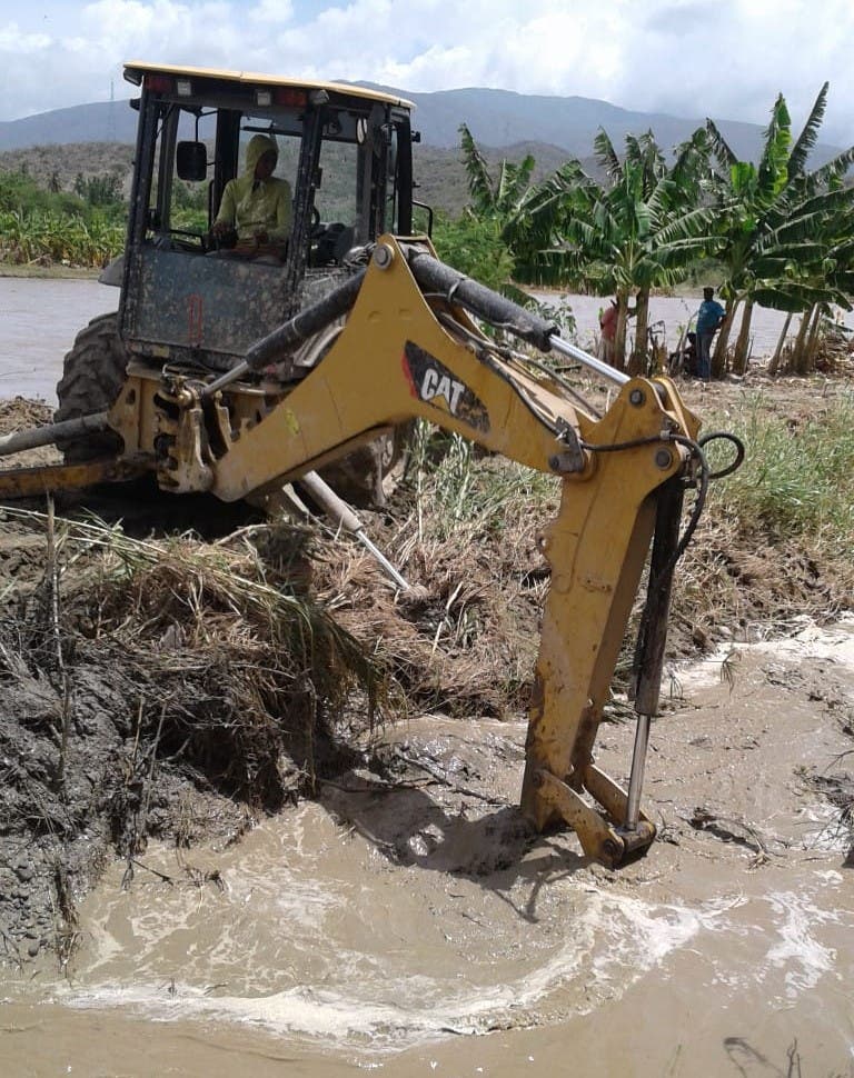 Productores de plátano en Tamayo buscan recuperar plantaciones tras paso de tormenta Laura
