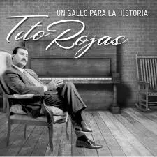 portada Un gallo para la historia