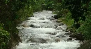 El Parque Nacional Armando Bermúdez es una reserva incalculable