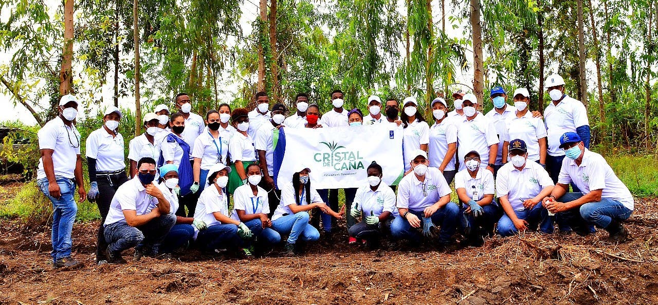 Con el auspicio de Cristal de Caña empleados de CAEI plantan mil árboles