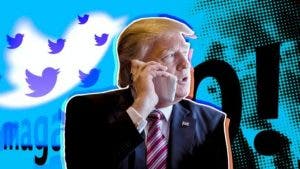 El hacker que adivinó la contraseña de Twitter de Donald Trump (y no será sancionado)