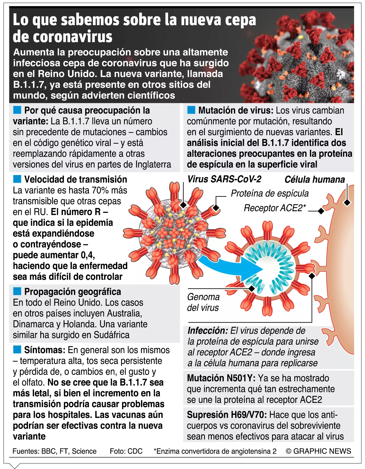 info-COVID NUEVA SEPA