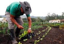 Pesticidas orgánicos, alternativa que ayuda a sostenibilidad ambiental