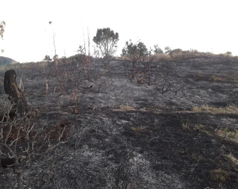 El incendio de El Pinar, Ocoa, fue controlado