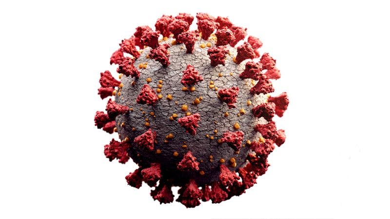 Cómo fue identificado el primer virus de la historia (y qué pasó después de su descubrimiento)