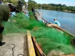 Detienen 11 personas e incautan redes de pesca ilegales en litoral Sur