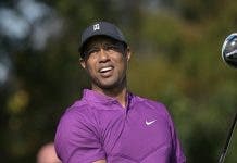 Tiger Woods trabaja para volver al golf, afirma el capitán de Estados Unidos
