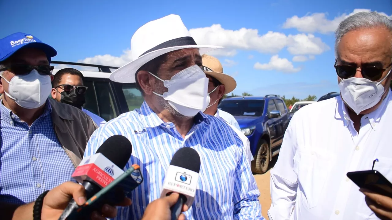 Gobierno a través de Agricultura irá en auxilio de productores de tomate