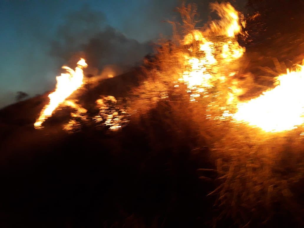 Un gran incendio afecta lomas del Pinar de Ocoa