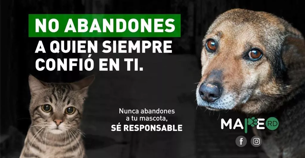 Desarrollan campaña que promueve la tenencia responsable de animales