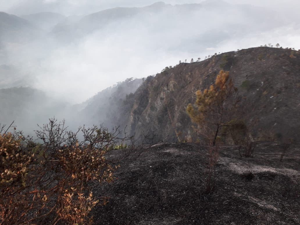 Incendio en El Pinar de Ocoa está controlado, dice ministro de Medio Ambiente