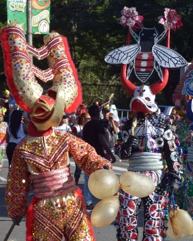 Santiago en carnaval, pero por televisión