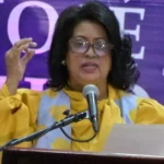 Cristina Lizardo sobre propuesta de reducción a presupuesto de partidos: "Es una idea fuera de lugar"