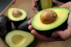 El aguacate criollo ya cuenta con su marca propia para comercializarse en EEUU