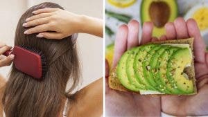 Conoce los 7 alimentos que te ayudarán a prevenir la pérdida de cabello