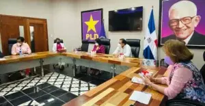 Solo diez impugnaciones fueron sometidas ante Comisión Electoral PLD