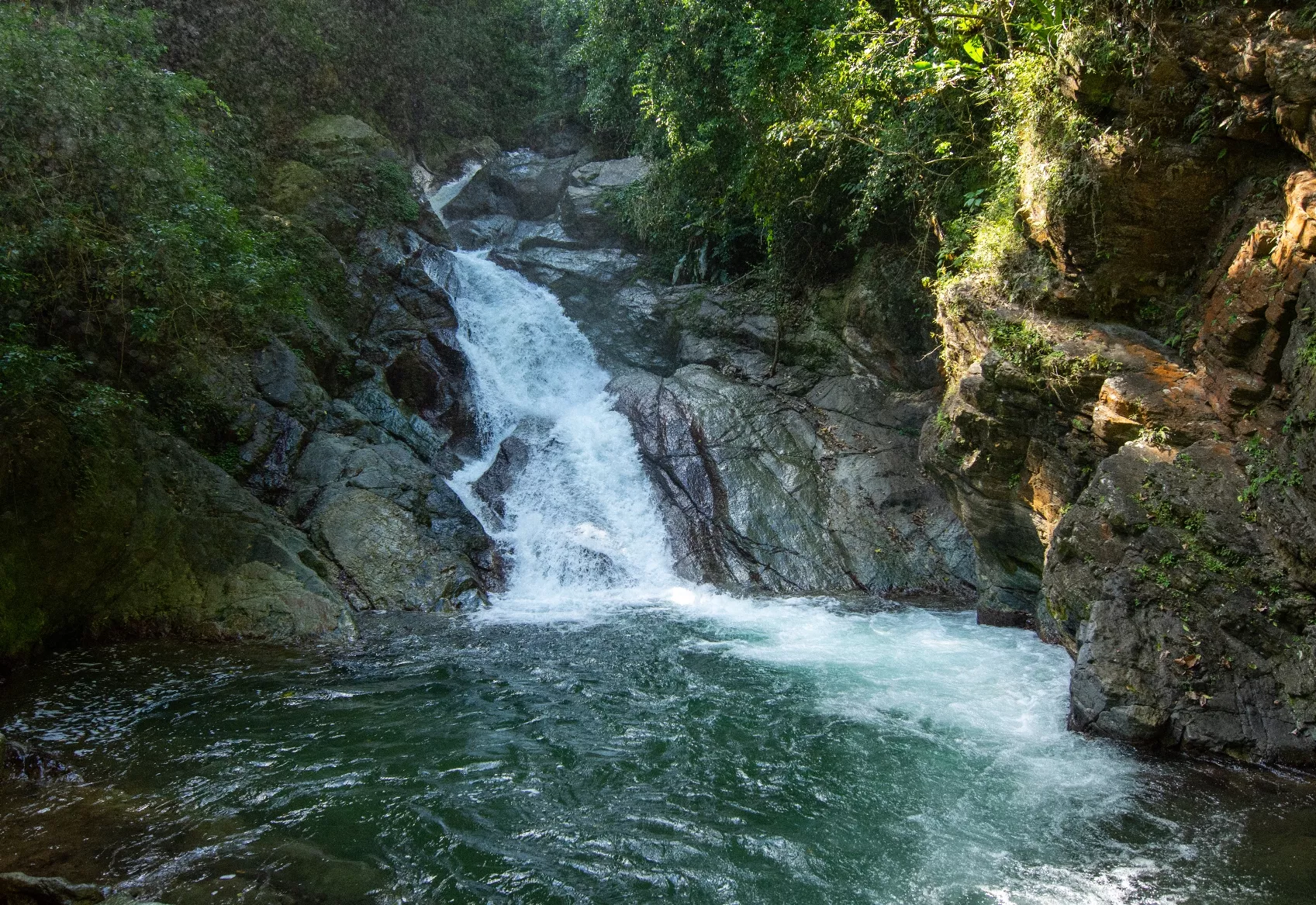 La protección de los ecosistemas  es clave en la producción del agua