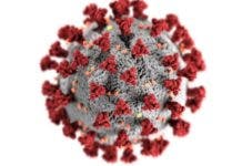 Coronavirus: qué se sabe de la variante de «doble mutación» encontrada en India