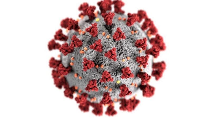 Coronavirus: qué se sabe de la variante de «doble mutación» encontrada en India