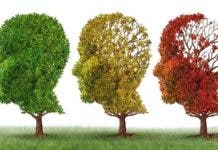 Ministerio de Salud propone estilos de vida saludable para evitar el alzheimer
