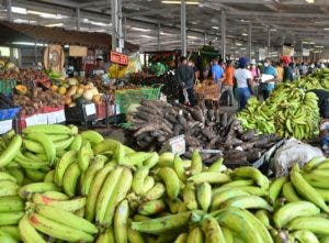 Precios de varios productos agrícolas comienzan a bajar