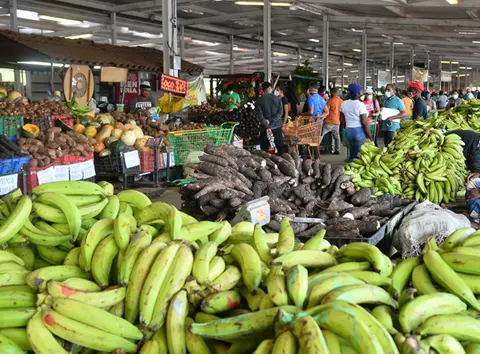 FEDA anuncia acuerdo para bajar precios de productos agropecuarios