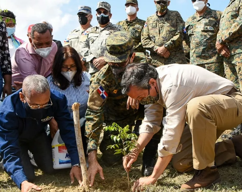 Ambiente inicia plantación de 35,500 árboles