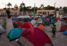 Feminista Sergia Galván era objetivo de mujer acusada enviar brownies con marihuana a campamento 3 causales