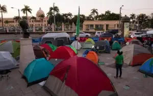 Feminista Sergia Galván era objetivo de mujer acusada enviar brownies con marihuana a campamento 3 causales