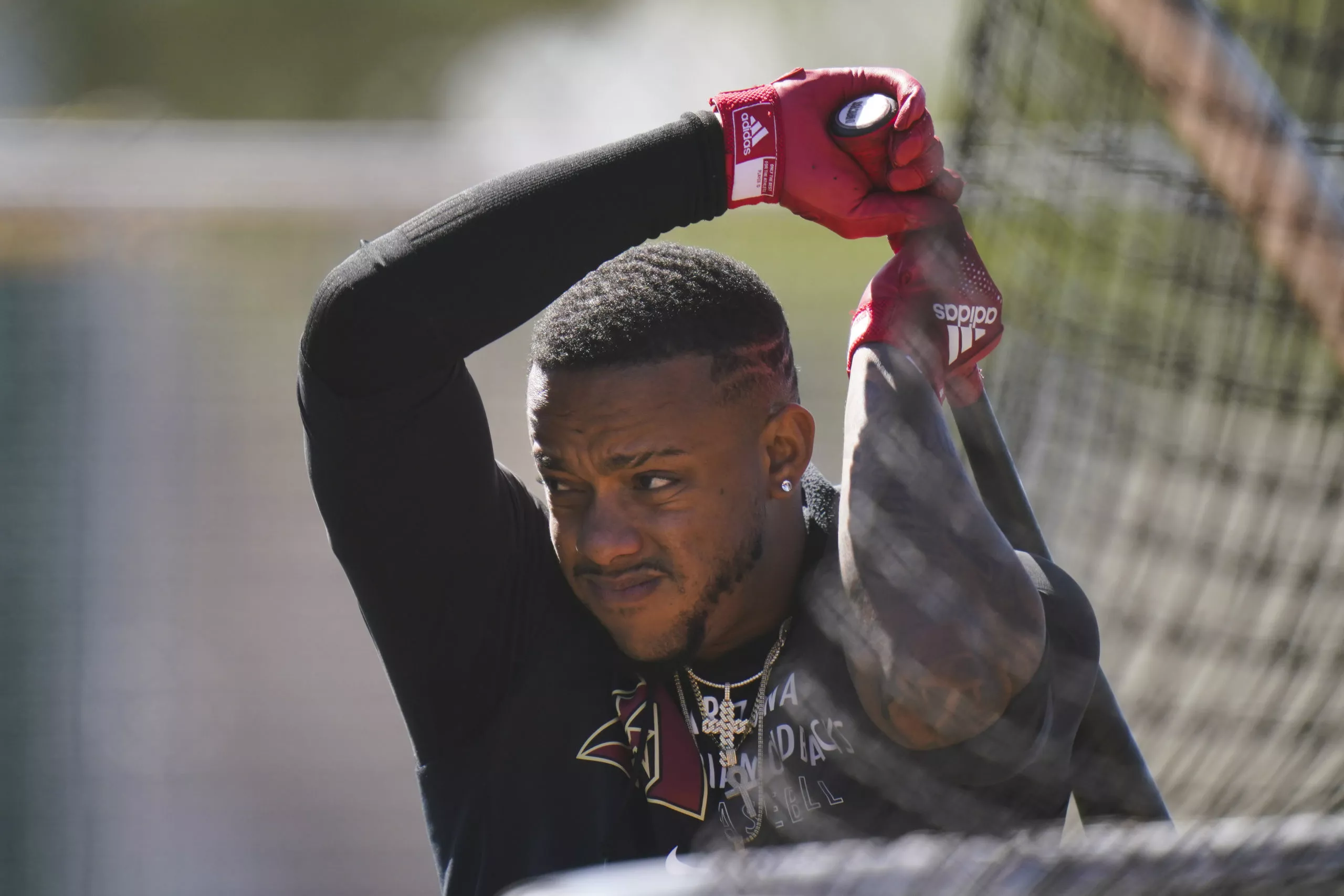 DIAMONDBACKS-2021