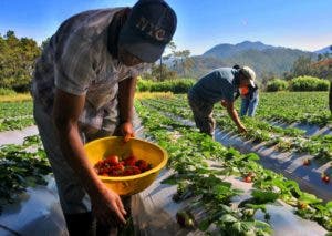 Productos locales, opciones más saludables y económicas