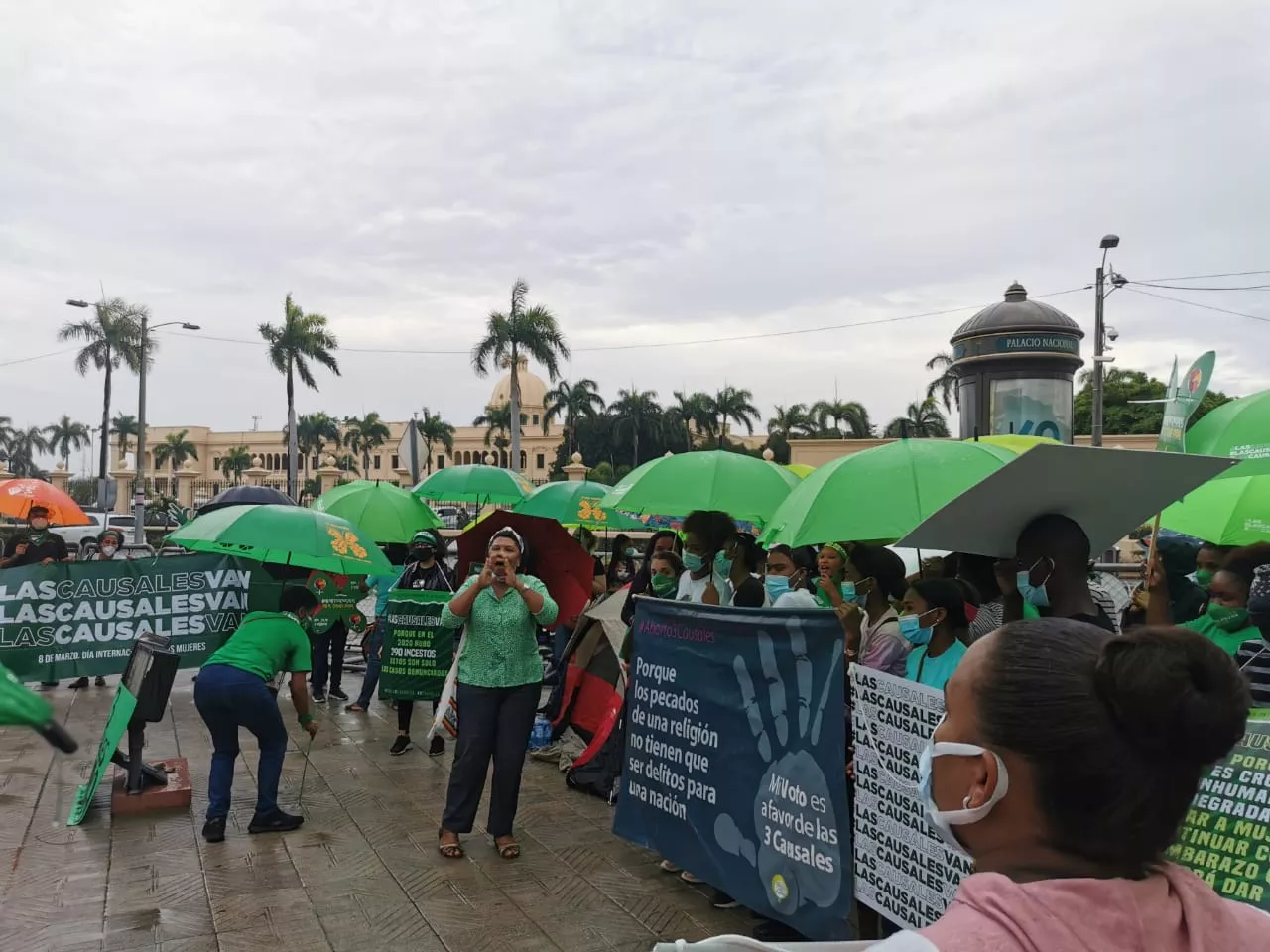 Fiscalía solicita prisión preventiva contra mujer envió brownies al campamento 3 Causales