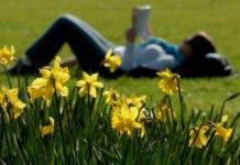 Hoy comienza la primavera: un renacer de colores, aromas y alegría