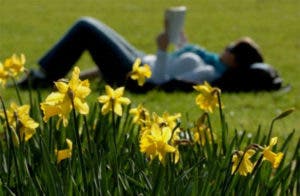 Hoy comienza la primavera: un renacer de colores, aromas y alegría