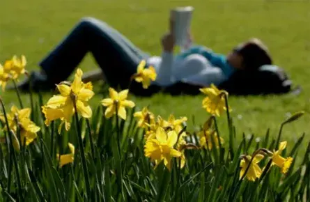 Hoy comienza la primavera: un renacer de colores, aromas y alegría