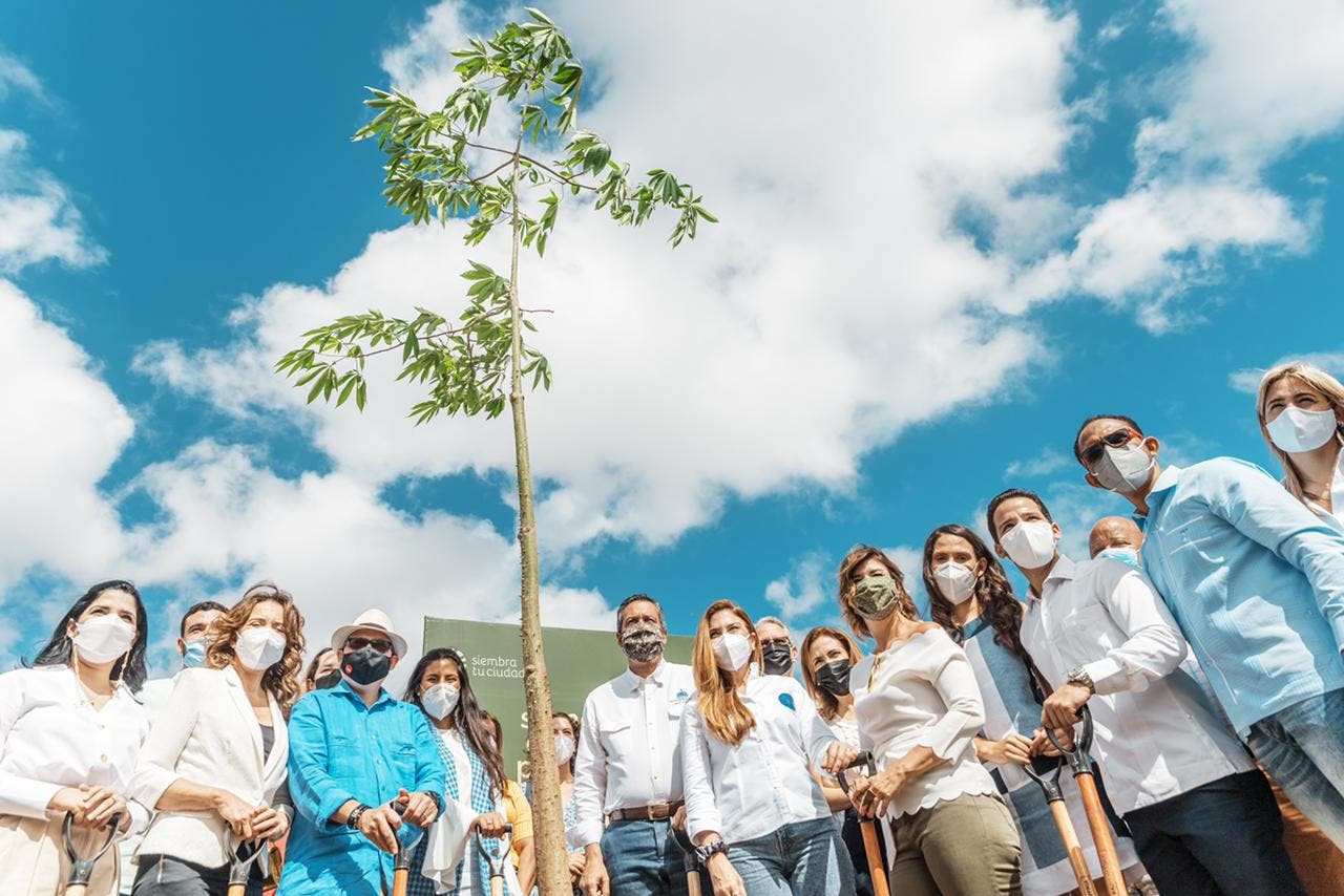 Lanzan plan para la siembra y mantenimiento de árboles adecuados en el DN