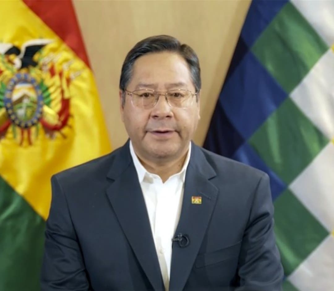 Alba rechaza injerencia de OEA en Bolivia