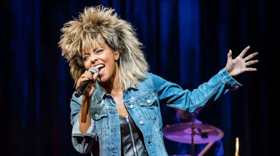 tina-turner tina-turner