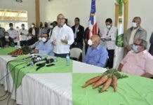 Ministerio de Agricultura interviene producción de zanahorias en Constanza 