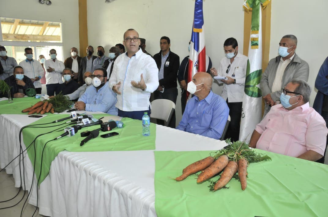 Ministerio de Agricultura interviene producción de zanahorias en Constanza 