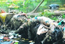 El Arroyo Yaguasa agoniza a causa de alta contaminación