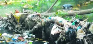 El Arroyo Yaguasa agoniza a causa de alta contaminación