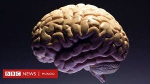 Cómo la menstruación cambia el cerebro de las mujeres (para bien)