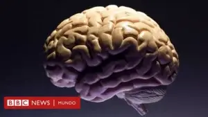 Cómo la menstruación cambia el cerebro de las mujeres (para bien)