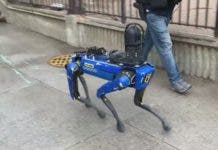 Aumenta presencia de perros robots policías en calles NYC