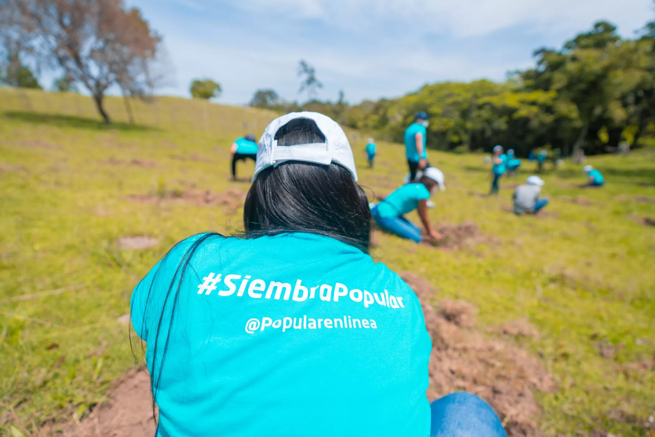 Grupo Popular siembra 1,500 árboles en el Plan Sierra